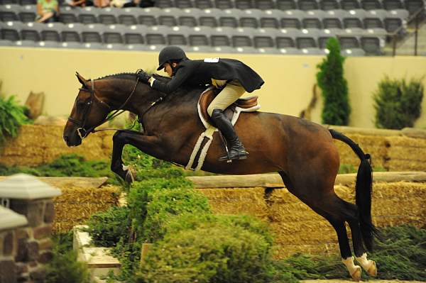 USHJA-Derby-8-21-10-Rnd2-DER1_9981-Francesca-MaggieJayne-DDeRosaPhoto.JPG