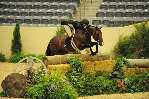 USHJA-Derby-8-21-10-Rnd2-DER1_9986-Francesca-MaggieJayne-DDeRosaPhoto.JPG