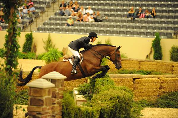 USHJA-Derby-8-21-10-Rnd2-DER1_9991-TellAll-PeterPletcher-DDeRosaPhoto.JPG