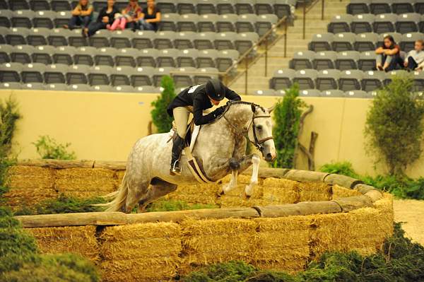 USHJA-Derby-Rnd2-DER2_0013-Listen-KelleyFarmer-DDeRosaPhoto.JPG