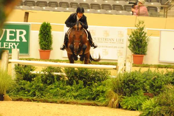 USHJA-Derby-Rnd2-DER2_0095-TellAll-PeterPletcher-DDeRosaPhoto.jpg