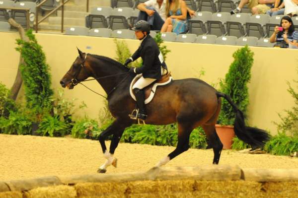 USHJA-Derby-Rnd3-DER2_0128-Declaration-ScottStewart-DDeRosaPhoto.jpg