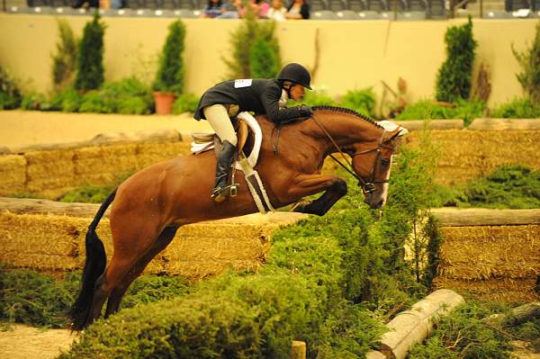 USHJA-Derby-Rnd3-DER2_0164-Taken-KelleyFarmer-DDeRosaPhoto.JPG