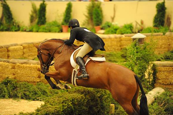 USHJA-Derby-Rnd3-DER2_0165-Taken-KelleyFarmer-DDeRosaPhoto.JPG