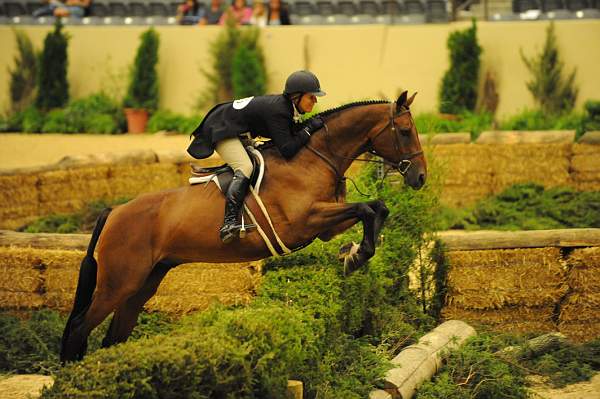 USHJA-Derby-Rnd3-DER2_0175-Peridot-TammyProvost-DDeRosaPhoto.JPG