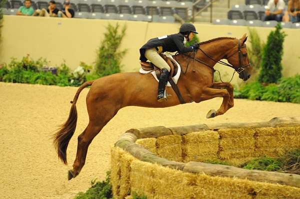 USHJA-Derby-Rnd3-DER2_0220-Brunello-ElizabethBoyd-DDeRosaPhoto.jpg