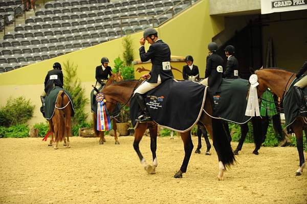 USHJA-Derby-8-21-10-Rnd3-DER2_0333-DDeRosaPhoto.jpg