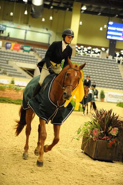 USHJA-Derby-8-21-10-Rnd3-DER2_0379-DDeRosaPhoto.jpg