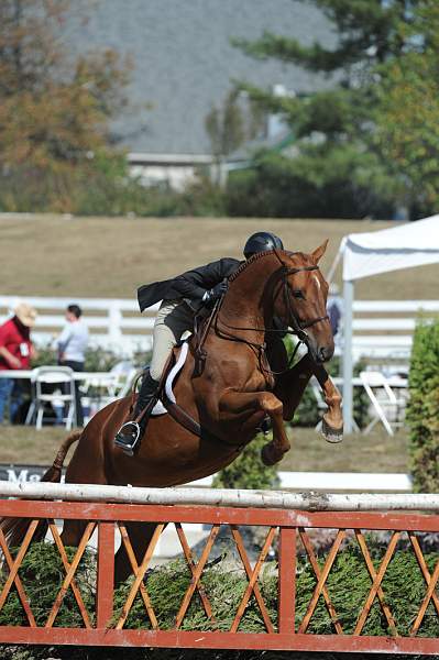 WEG3-10-7-10-Hunters-WEG_6083-DDeRosaPhoto.jpg