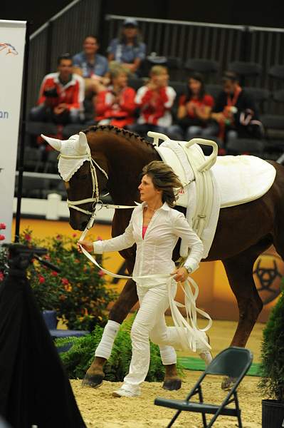 WEG3-10-7-10-Vaulting-5892-DDeRosaPhoto.jpg