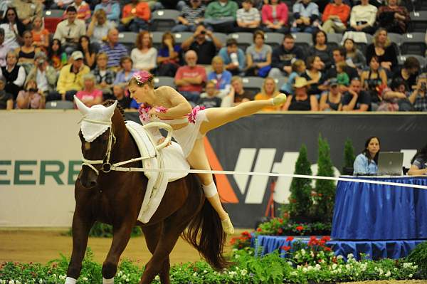 WEG3-10-7-10-Vaulting-5897-DDeRosaPhoto.jpg