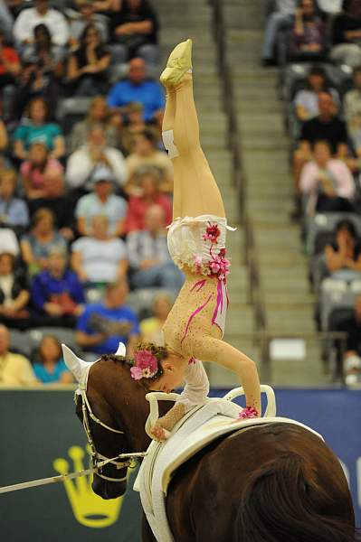 WEG3-10-7-10-Vaulting-5906-DDeRosaPhoto.jpg