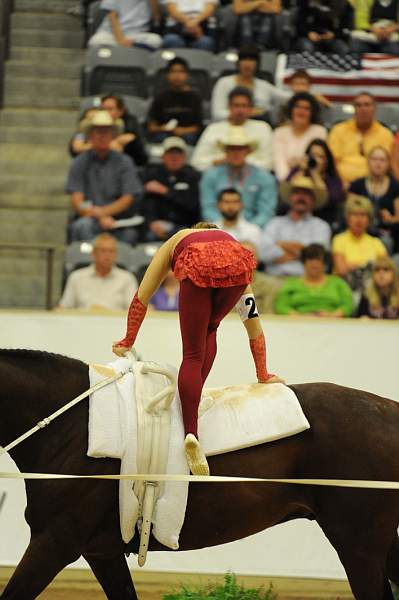 WEG3-10-7-10-Vaulting-5944-DDeRosaPhoto.jpg