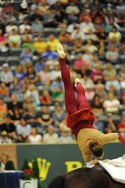 WEG3-10-7-10-Vaulting-5953-DDeRosaPhoto.jpg