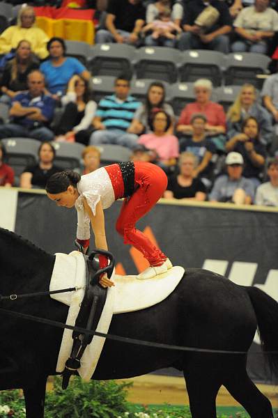 WEG3-10-7-10-Vaulting-DSC_6550-DDeRosaPhoto.jpg