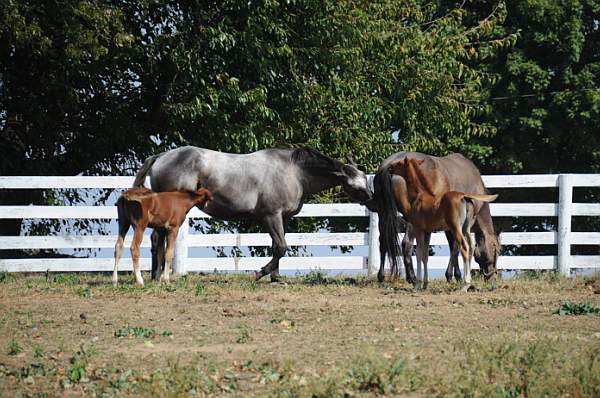 WEG1-9-24-10-Tour_0941-DDeRosaPhoto.jpg