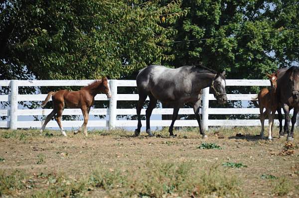 WEG1-9-24-10-Tour_0944-DDeRosaPhoto.jpg