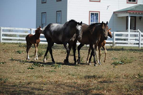 WEG1-9-24-10-Tour_0952-DDeRosaPhoto.jpg