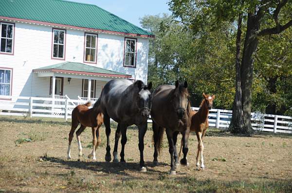 WEG1-9-24-10-Tour_0954-DDeRosaPhoto.jpg