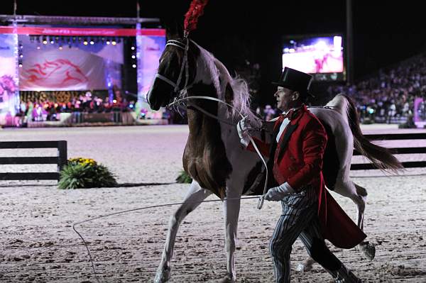 WEG1-9-25-10-Opening-WEG_1890-DDeRosaPhoto.jpg