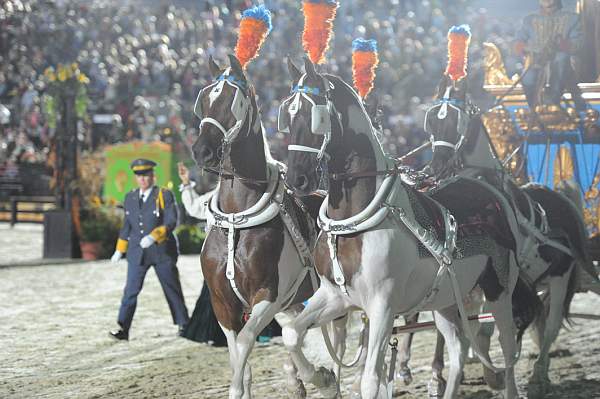 WEG1-9-25-10-Opening-WEG_2198-DDeRosaPhoto.jpg