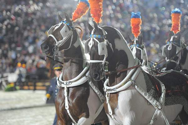 WEG1-9-25-10-Opening-WEG_2199-DDeRosaPhoto.jpg