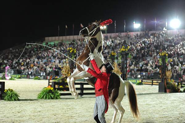 WEG1-9-25-10-Opening-WEG_2219-DDeRosaPhoto.jpg