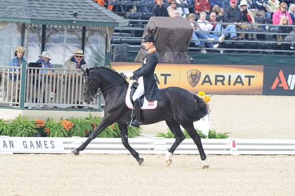 WEG1-9-28-10-DressageGP-5562-DDeRosaPhoto.jpg