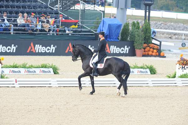 WEG1-9-28-10-DressageGP-5570-DDeRosaPhoto.jpg