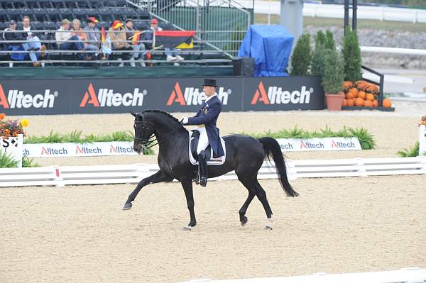 WEG1-9-28-10-DressageGP-5615-DDeRosaPhoto.jpg