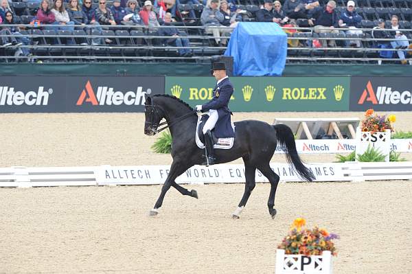 WEG1-9-28-10-DressageGP-5618-DDeRosaPhoto.jpg