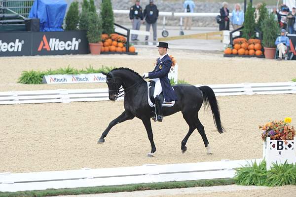 WEG1-9-28-10-DressageGP-5644-DDeRosaPhoto.jpg