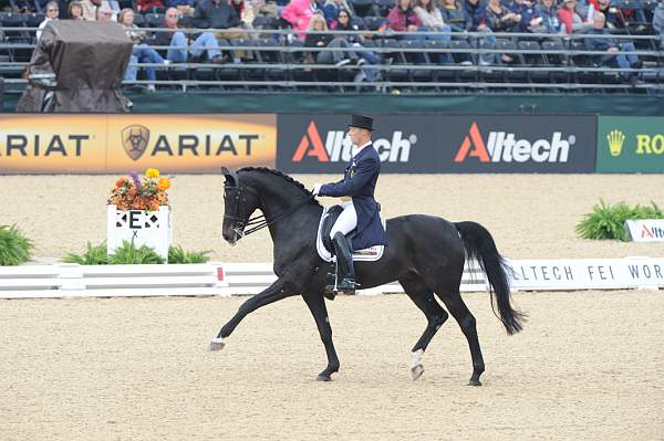 WEG1-9-28-10-DressageGP-5647-DDeRosaPhoto.jpg