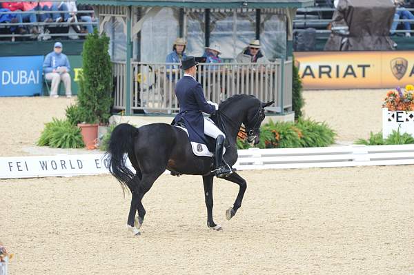 WEG1-9-28-10-DressageGP-5650-DDeRosaPhoto.jpg