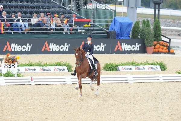 WEG1-9-28-10-DressageGP-5659-DDeRosaPhoto.jpg