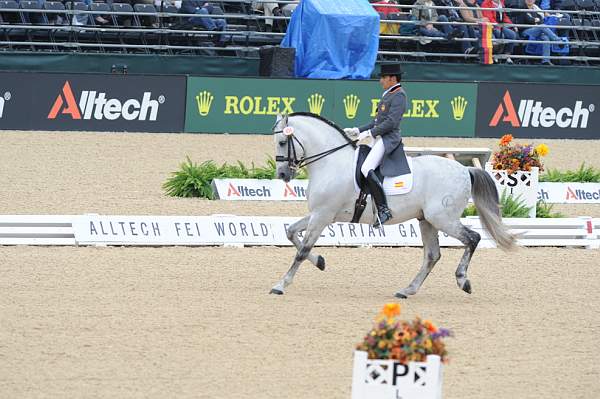 WEG1-9-28-10-DressageGP-5696-DDeRosaPhoto.jpg