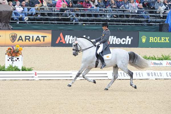 WEG1-9-28-10-DressageGP-5698-DDeRosaPhoto.jpg