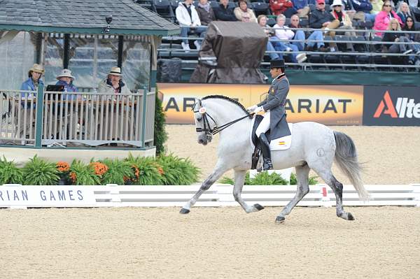 WEG1-9-28-10-DressageGP-5700-DDeRosaPhoto.jpg