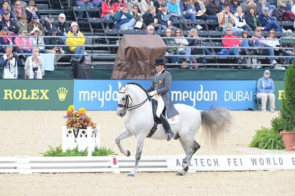 WEG1-9-28-10-DressageGP-5703-DDeRosaPhoto.jpg