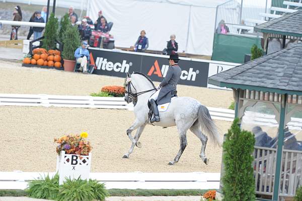 WEG1-9-28-10-DressageGP-5715-DDeRosaPhoto.jpg