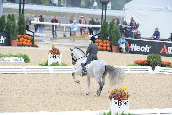 WEG1-9-28-10-DressageGP-5717-DDeRosaPhoto.jpg