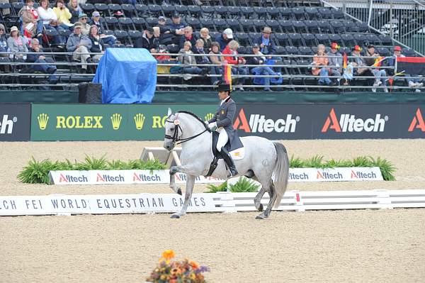 WEG1-9-28-10-DressageGP-5718-DDeRosaPhoto.jpg