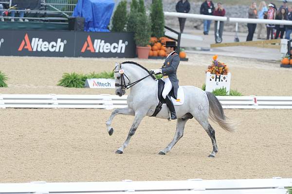 WEG1-9-28-10-DressageGP-5723-DDeRosaPhoto.jpg