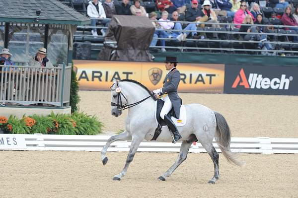 WEG1-9-28-10-DressageGP-5725-DDeRosaPhoto.jpg