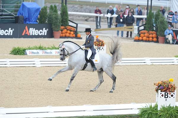 WEG1-9-28-10-DressageGP-5729-DDeRosaPhoto.jpg