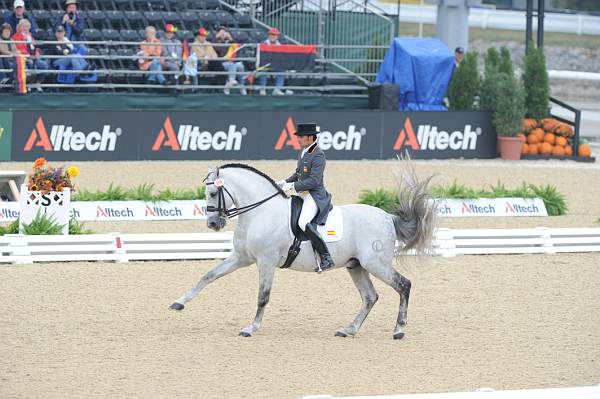 WEG1-9-28-10-DressageGP-5731-DDeRosaPhoto.jpg