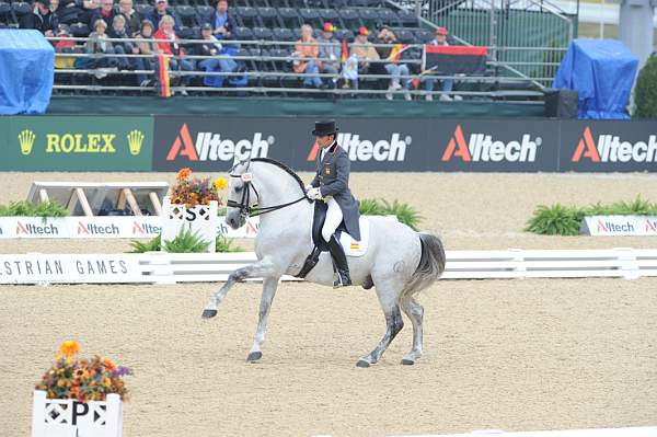 WEG1-9-28-10-DressageGP-5732-DDeRosaPhoto.jpg