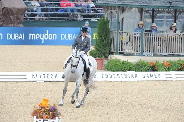 WEG1-9-28-10-DressageGP-5734-DDeRosaPhoto.jpg