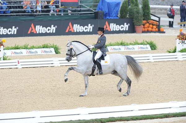 WEG1-9-28-10-DressageGP-5736-DDeRosaPhoto.jpg