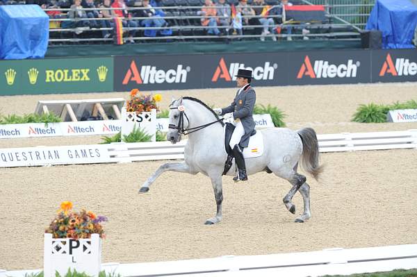 WEG1-9-28-10-DressageGP-5737-DDeRosaPhoto.jpg